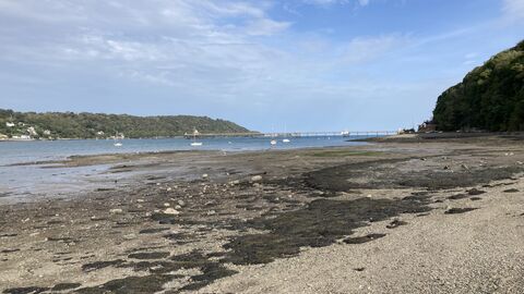 Bangor shoreline