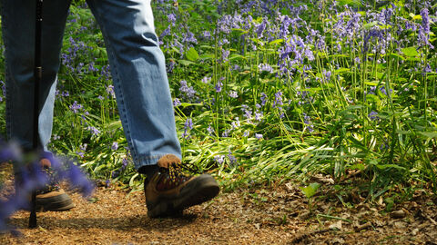Wilder Bangor - Walk