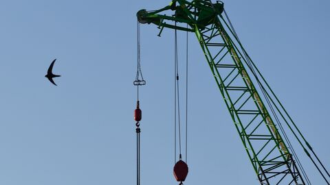 Marine port swift 