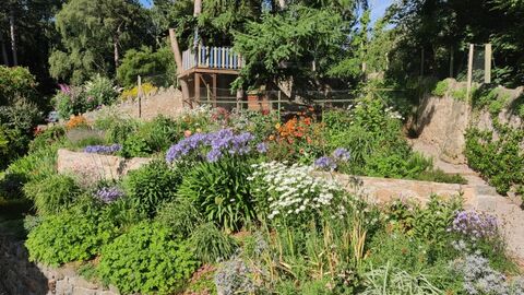 Open garden at Llys Euryn