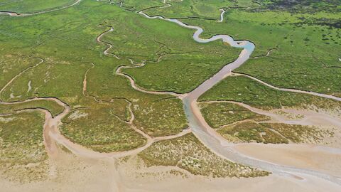 An aerial view of a salt marsh, with large water channels cutting through low lying vegetation just inland of a sandy beach.