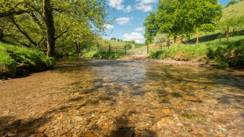Shallow river