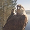 ospreys at brenig