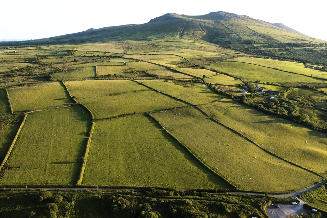 Bryn Ifan North Wales Wildlife Trust