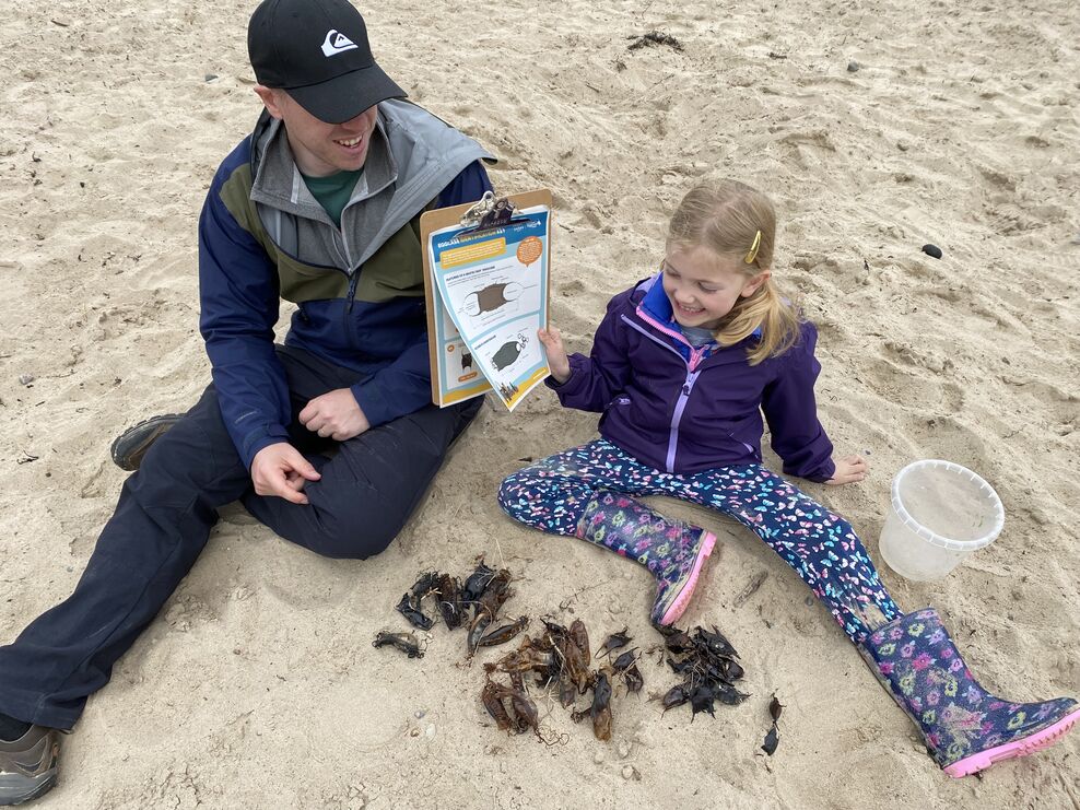 Project Siarc | North Wales Wildlife Trust