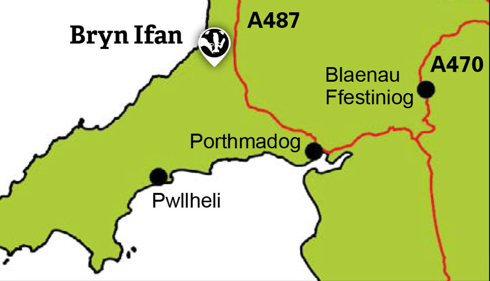 Bryn Ifan | North Wales Wildlife Trust