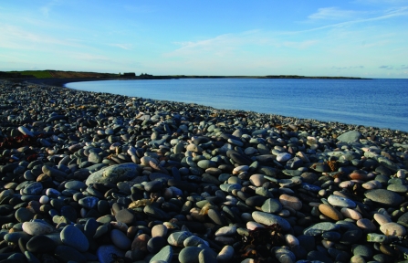 Cemlyn Nature Reserve