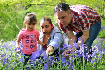 people and bluebells