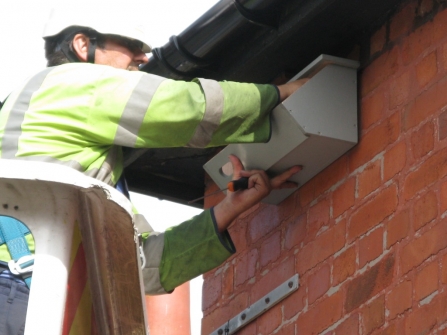 Putting up a swift nest box