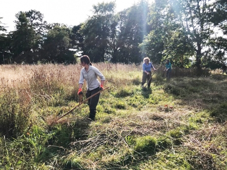 Scything with Wild About Mold project