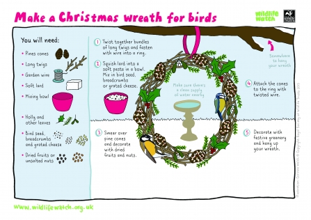Make a Christmas Wreath for birds (Activity Sheet)