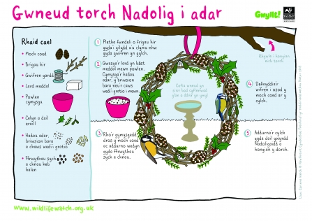Christmas Wreath for birds (Activity Sheet - Cymraeg)