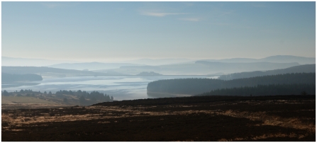 Gors Maen Llwyd (c) Lin Cummins