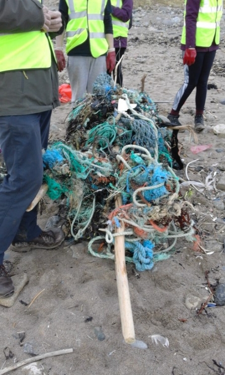 Beach Litter