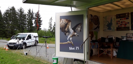 An open trailer with information posters, flyers etc hung everywhere. A large poster featuring an osprey labelled Blue 24 is most prominent. Beside the trailer a collection of scopes are set up on tripods at the edge of a path, with a van and trees in the background.