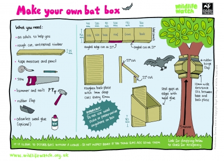 Make your own bat box_Activity Sheet