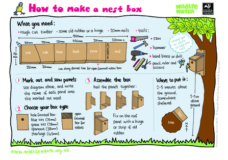How to make a nest box_Activity Sheet