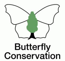 Butterfly Conservation