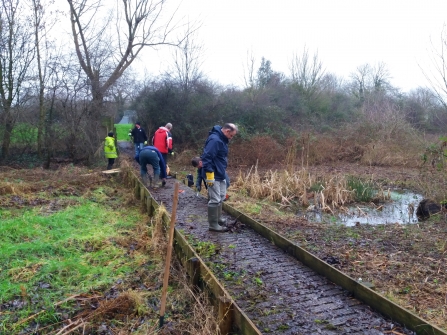 Volunteer event/Digwyddiad gwirfoddoli, Wrexham