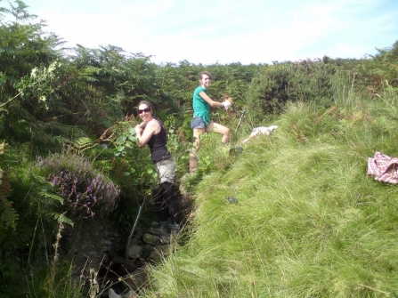 No-fence tree planting