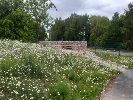 PIcnic Area and wildflower meadow at CIG LTD, Wrexham Industrial Estate