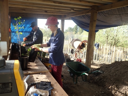  Two people in work gear at a bench, replanting tree saplings into pots. In an open-sided shed, with a wheelbarrow and large pile of compost on the floor, and the reserve's tree nursery in the background.