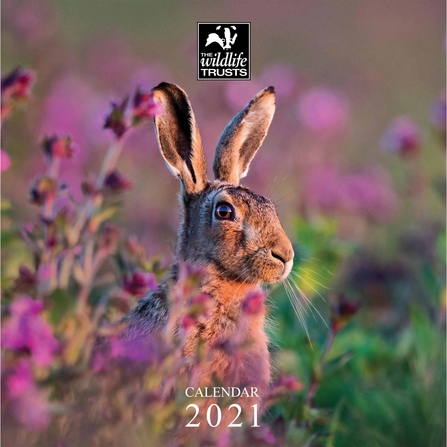 2021 TWT Calendar
