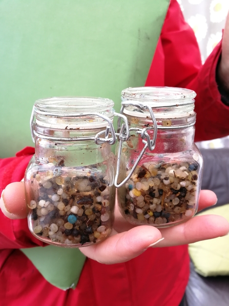 Nurdles collected from Rhoscolyn