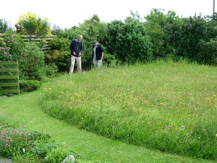 Hedges