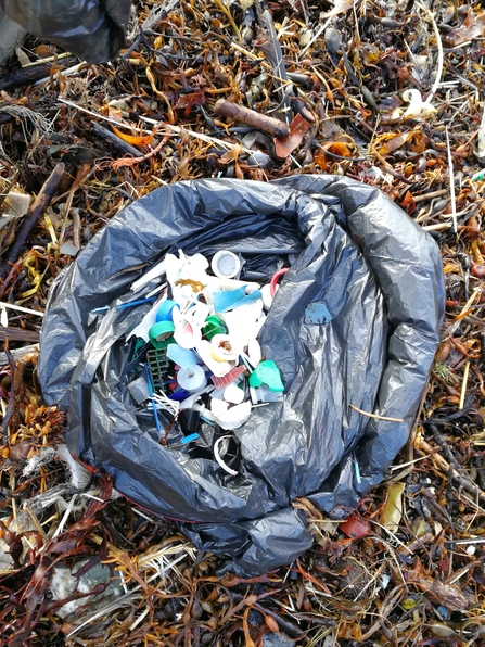 Plastic collected on a beach clean on Anglesey