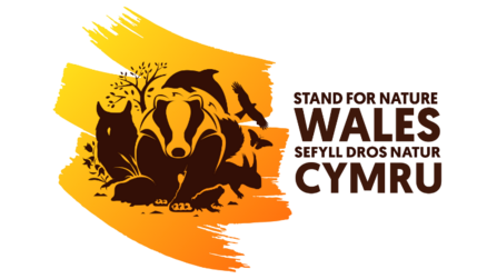 Stand For Nature Wales Logo / Sefyll Dros Natur Cymru 