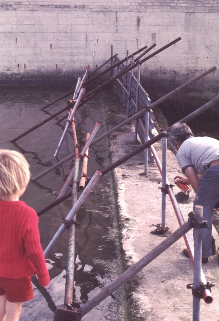 Cemlyn protective barrier  in 1976 - Mike Smith adds final touches 