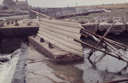Damaged Cemlyn protective barrier in 1977
