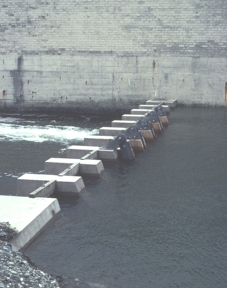 A high tide showing the Cemlyn weir in action 