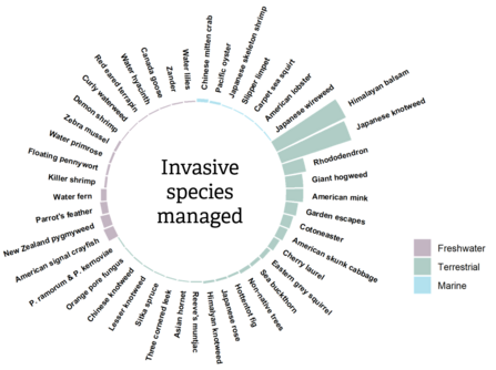 Species, taxa or ‘groups of concern’ managed by stakeholders (Local Action Groups and local authorities) in Wales, as identified by the WaREN I survey 