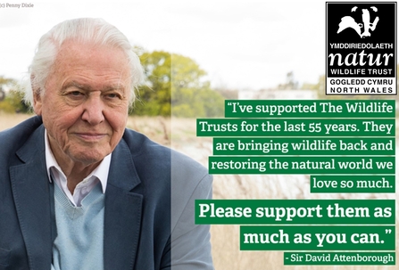 Sir David