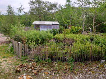 Tree nursery