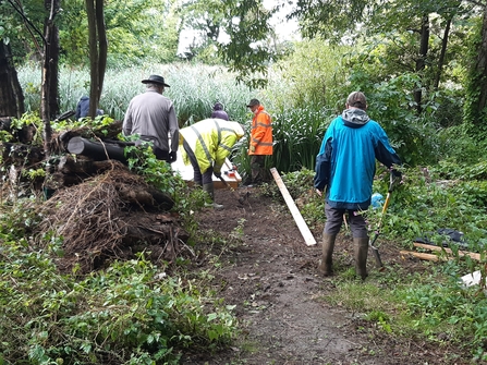 Big Pool Wood volunteers