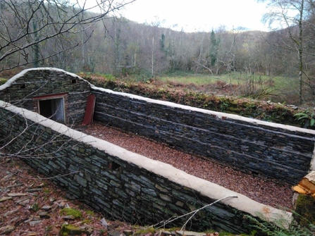 Tree nursery