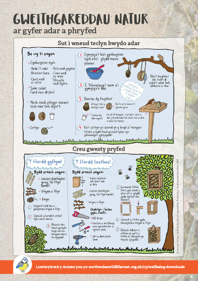 Make a bird feeder and insect hotel activity sheet CYMRAEG