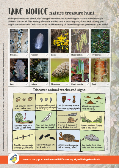 Nature treasure hunt and animal track and signs activity sheet 