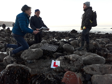 Shoresearch Llandudno North Shore, Jan 2022