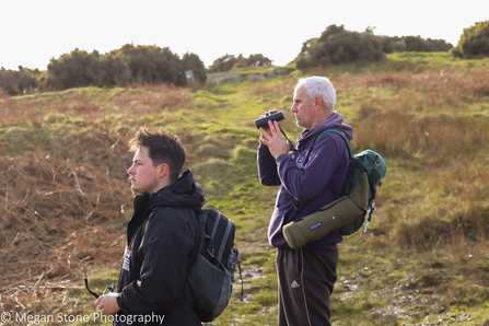 Chough survey