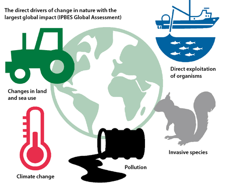 5 direct drivers of biodiversity loss