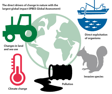 5 direct drivers of biodiversity loss 