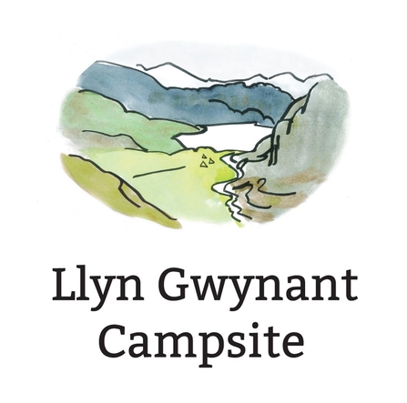 Llyn Gwynant Campsite logo