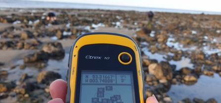 Timed survey Penrhyn Bay - NWWT