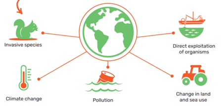 The Intergovenmental Science-Policy Platform on Biodiversity and Ecosystem Services (IPBES) top 5 ecological stressors