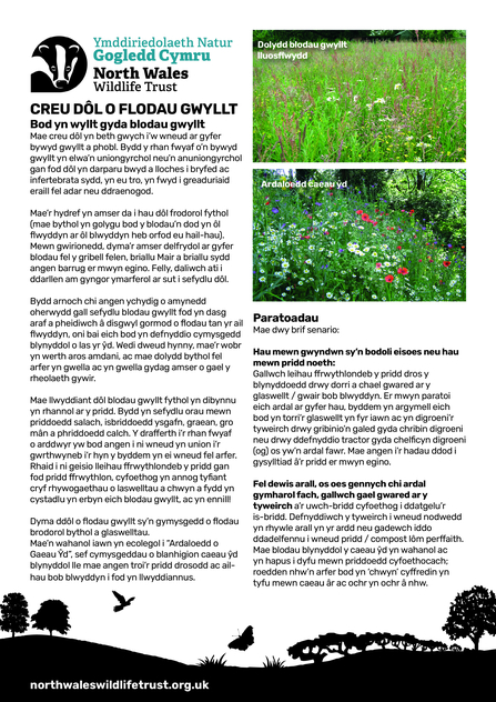 How to make your own wildflower meadow - instructions