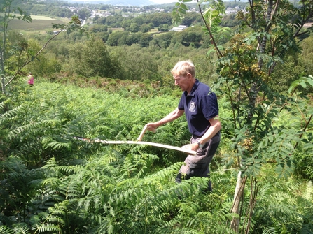 Bryn Jones managing fern growth